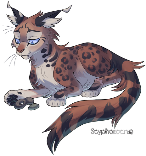 1: Fullbody 1: Fullbody